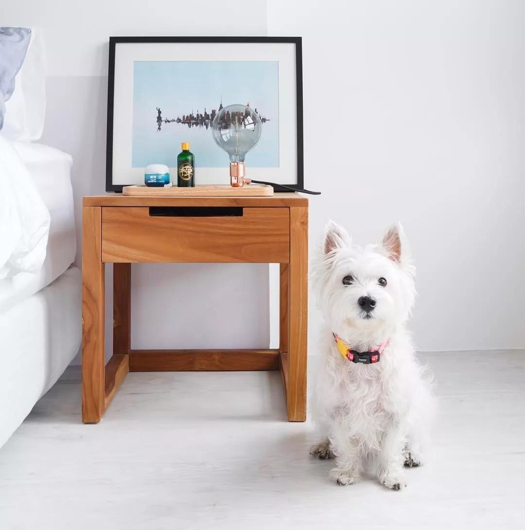 新年准备入驻新主子了？给你复制一份贴心方法-5