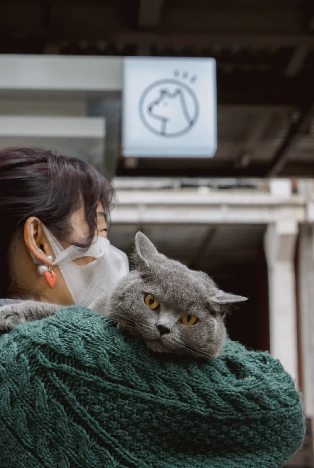 野狗商店·报刊亭-33