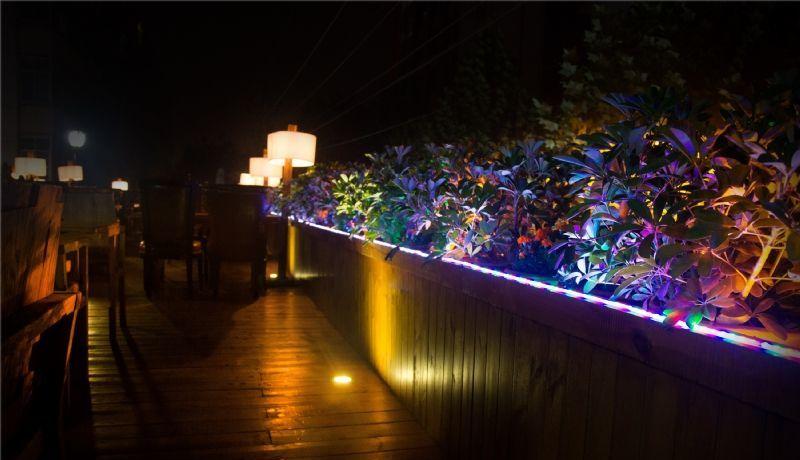 阿里小甄中餐厅-4