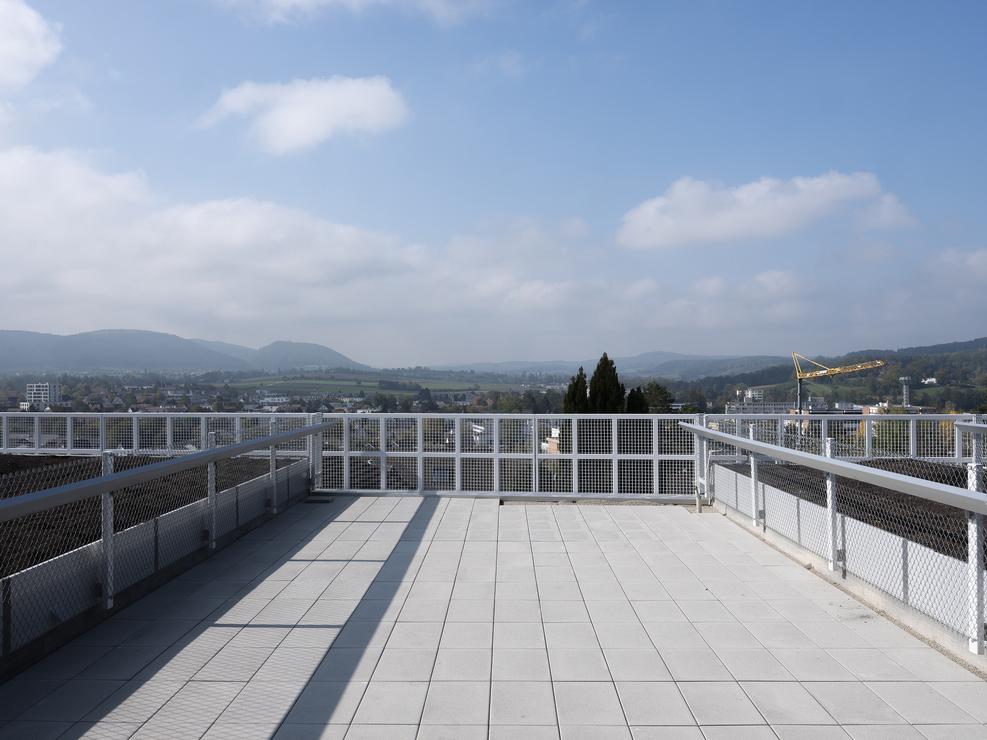 Therwil 联排别墅丨瑞士丨Lütiens Padmanabhan Architekten-29