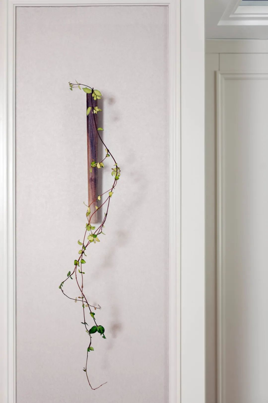 《博园》 | 自由如风,优雅灵动的海之居-43