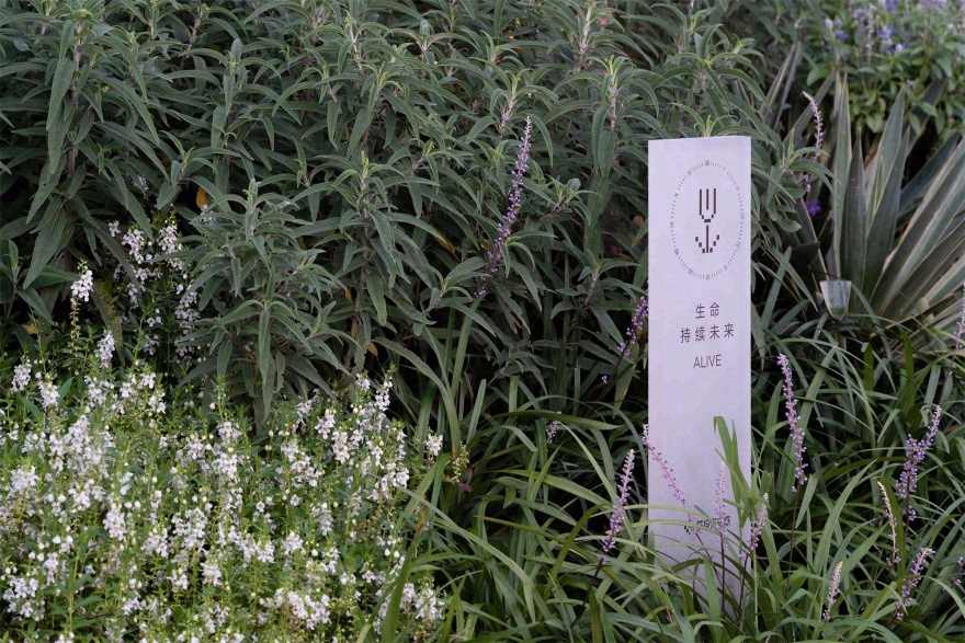 ” 明日 ” 之境,预见生活的超限感知—武汉联投未来荟 丨中国武汉丨环球地景设计-38