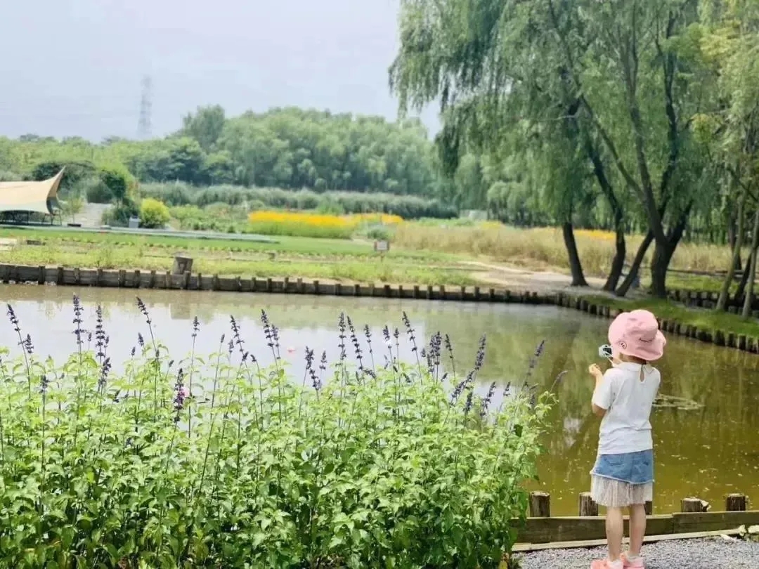 北京野鸭部落研学教育综合体丨中国北京丨奥雅设计-31