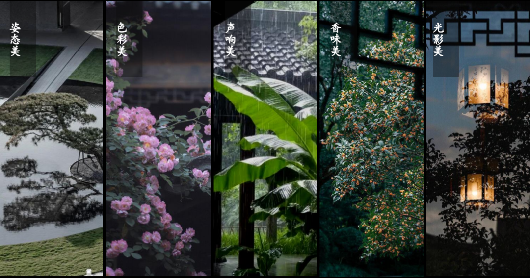 新品亮相！500里收官之作亮点详解-61