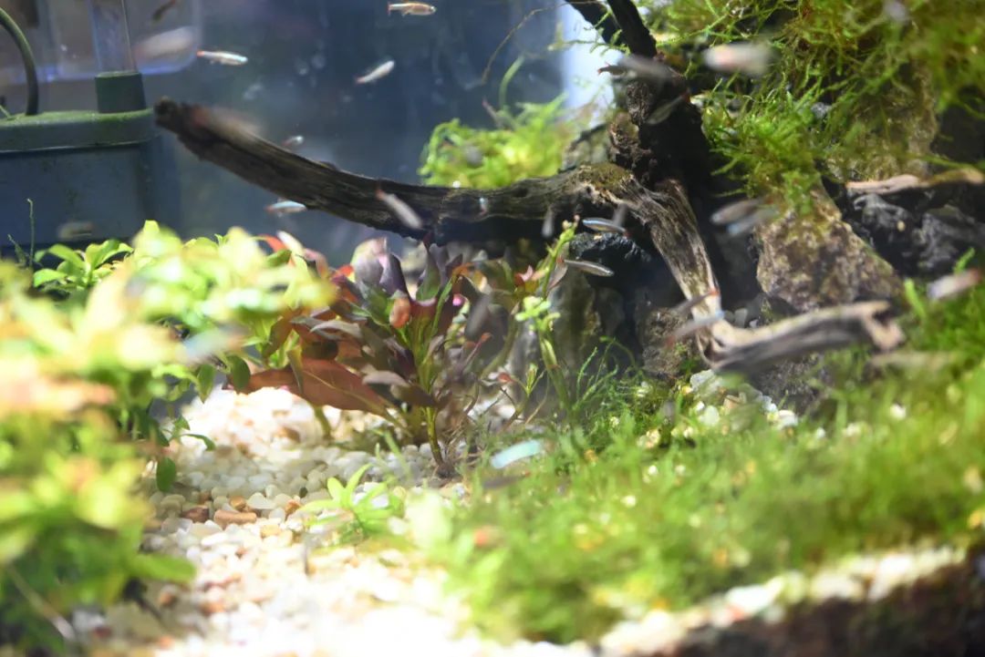 陈海峰  影像纪实 / 东湖之上-35