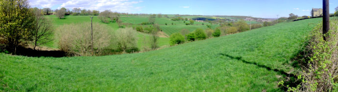 格里夫斯工坊·韦德尔系列丨英国谢菲尔德丨Oasis Studio Architects,Weddles-6