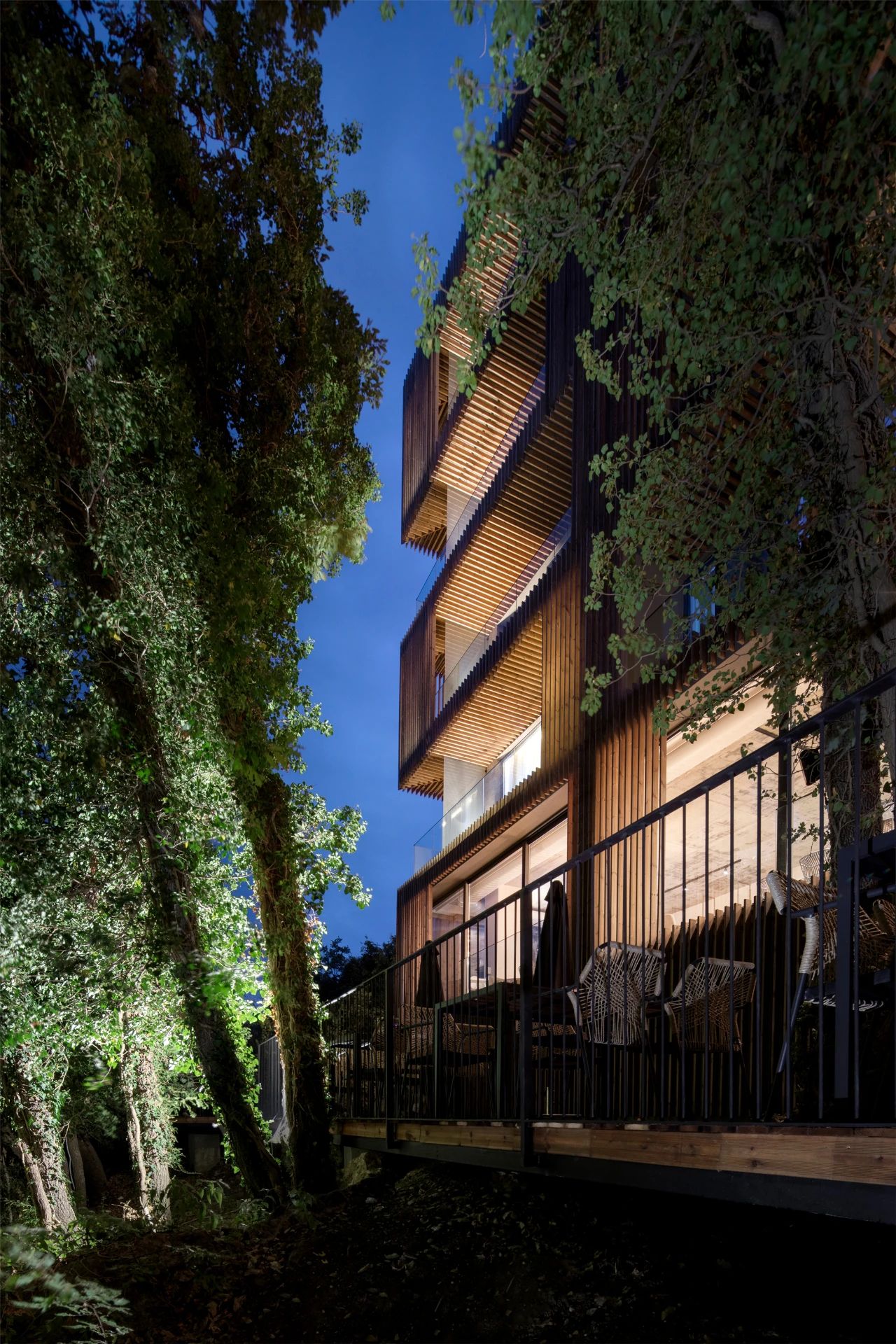 竹中诊所 - 温暖透明丨日本丨TSC Architects-84