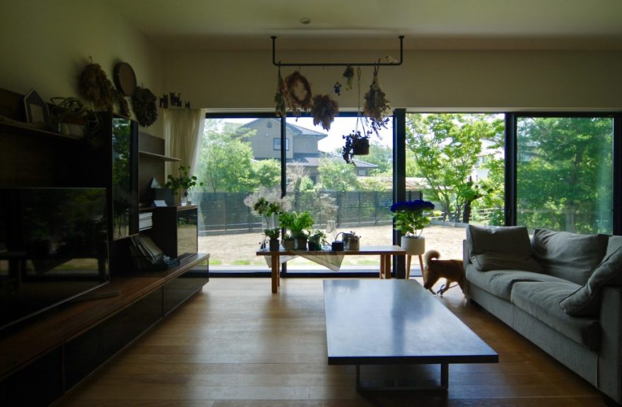 丨日本宫崎丨有限会社COGITE-24