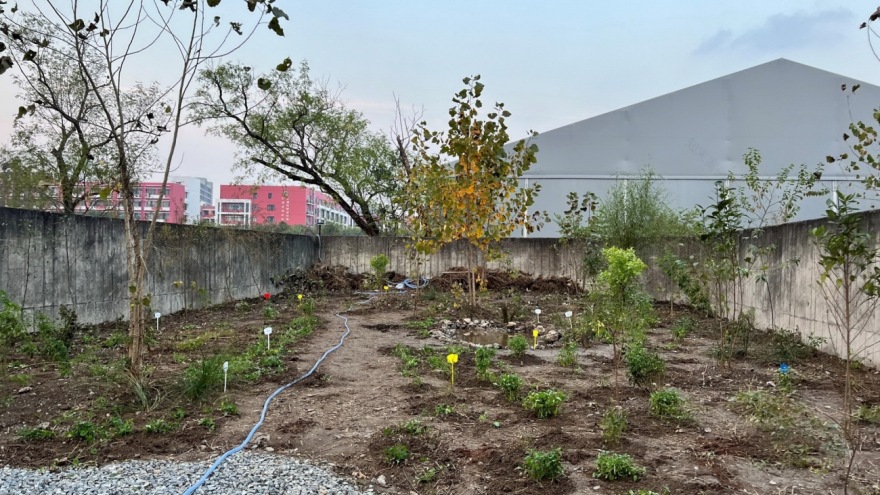 复园丨中国上海丨或然景观-36