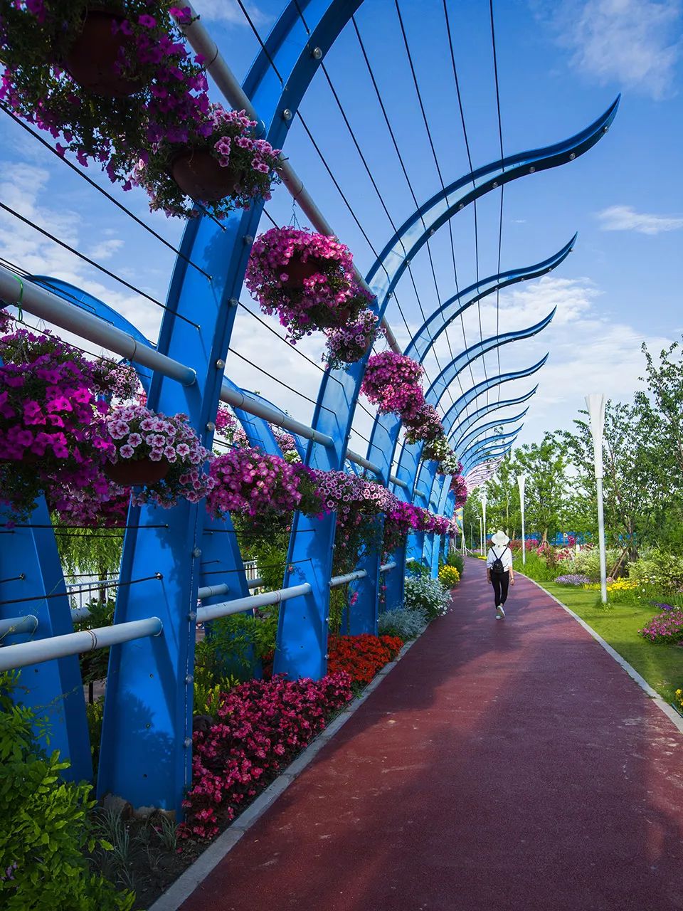 上海奇迹花园——花卉艺术乐园的视觉盛宴-21