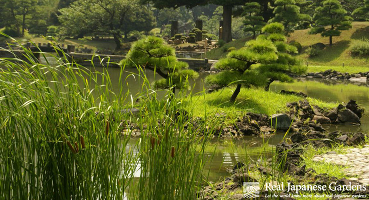 KyūShibaRikyū Teien（旧芝離宮庭園）丨日本东京-3
