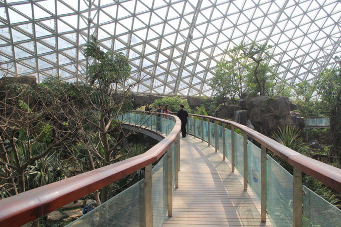 2014青岛世界园艺博览会青岛玻璃屋景观园艺项目丨中国青岛丨Weddle Landscape Design-8