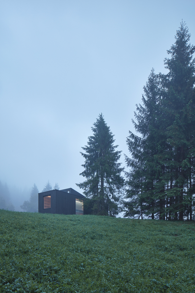 Into the Wild  Ark-52