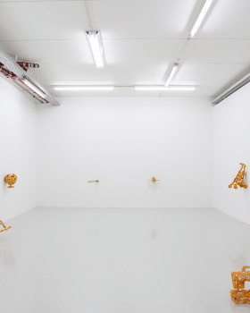 Anastasiya Gushchina丨Kåre Frang - Attachments