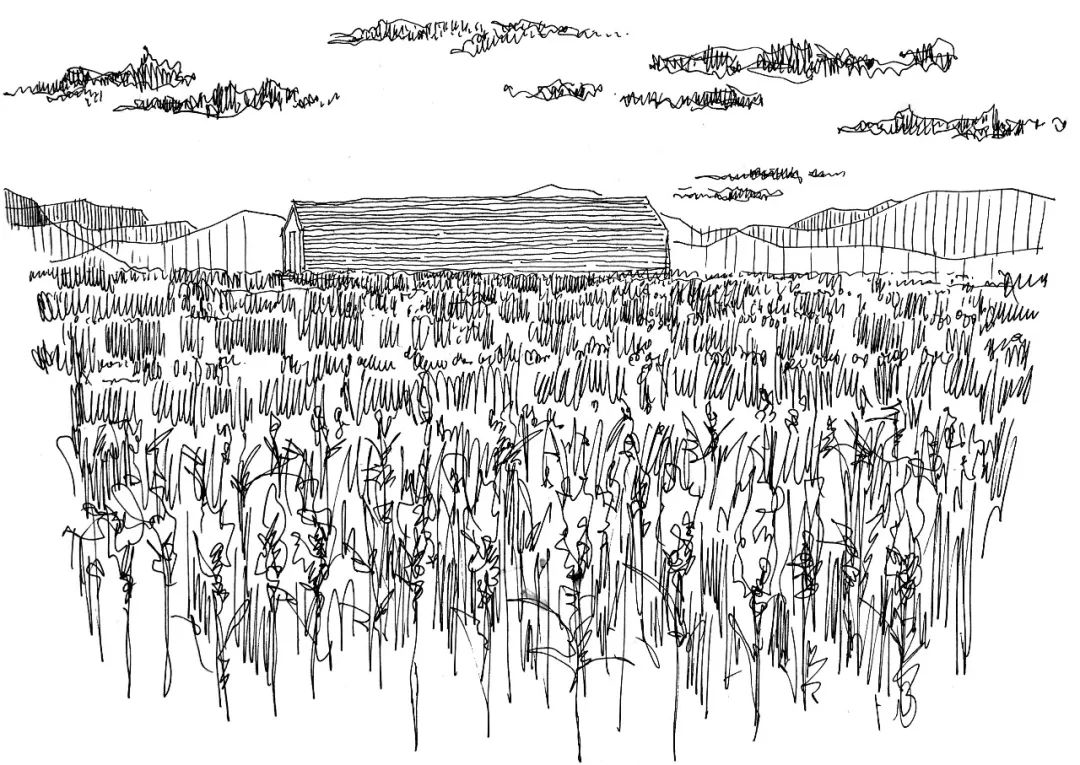 江小白的一亩三分地丨中国重庆丨未韬建筑设计事务所-201