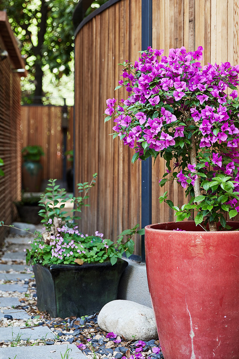 【UD设计工作室】简雅格调，理想的自在生活！-12