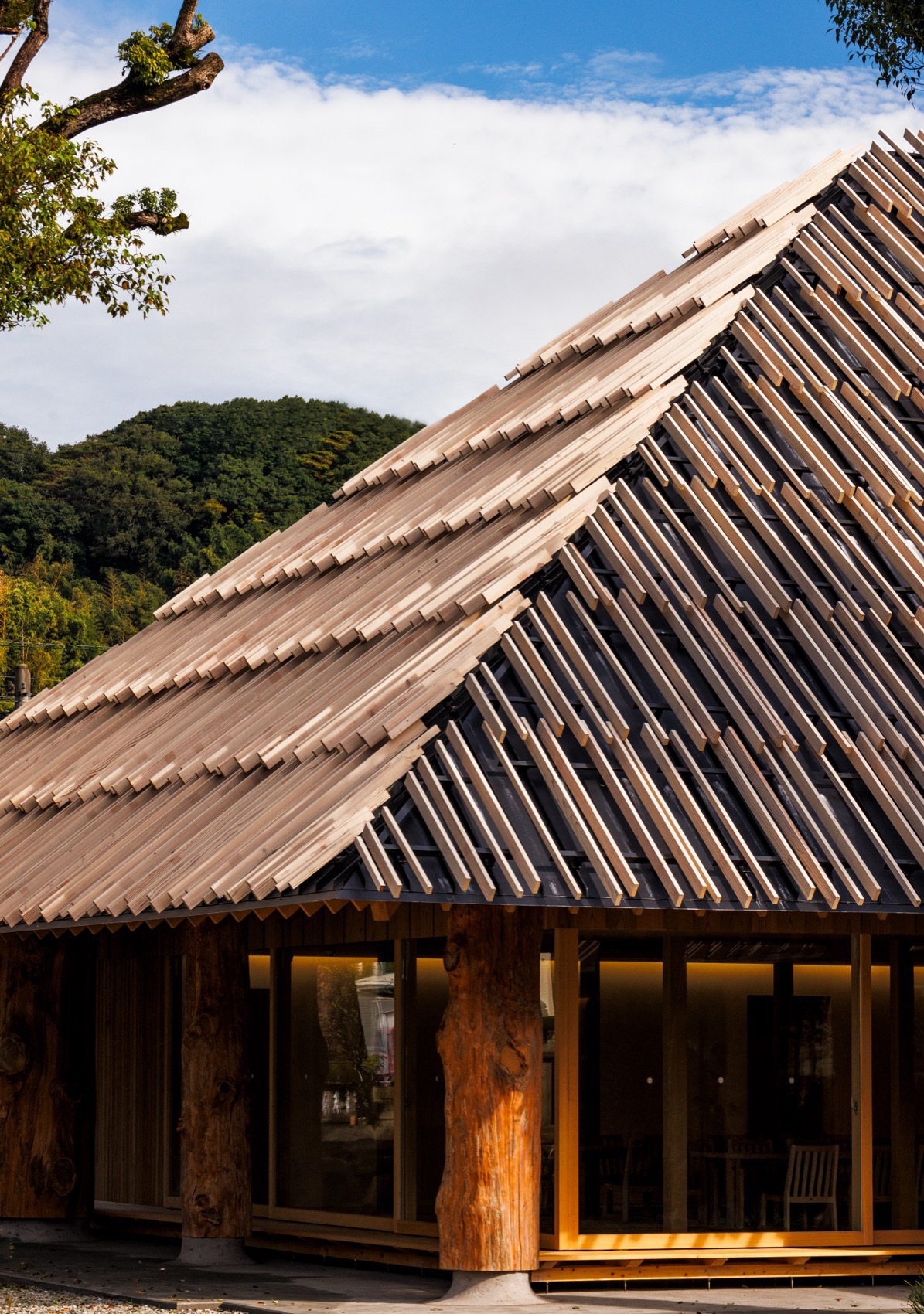 青井の杜国宝纪念馆丨日本丨隈研吾建筑都市设计事务所-10