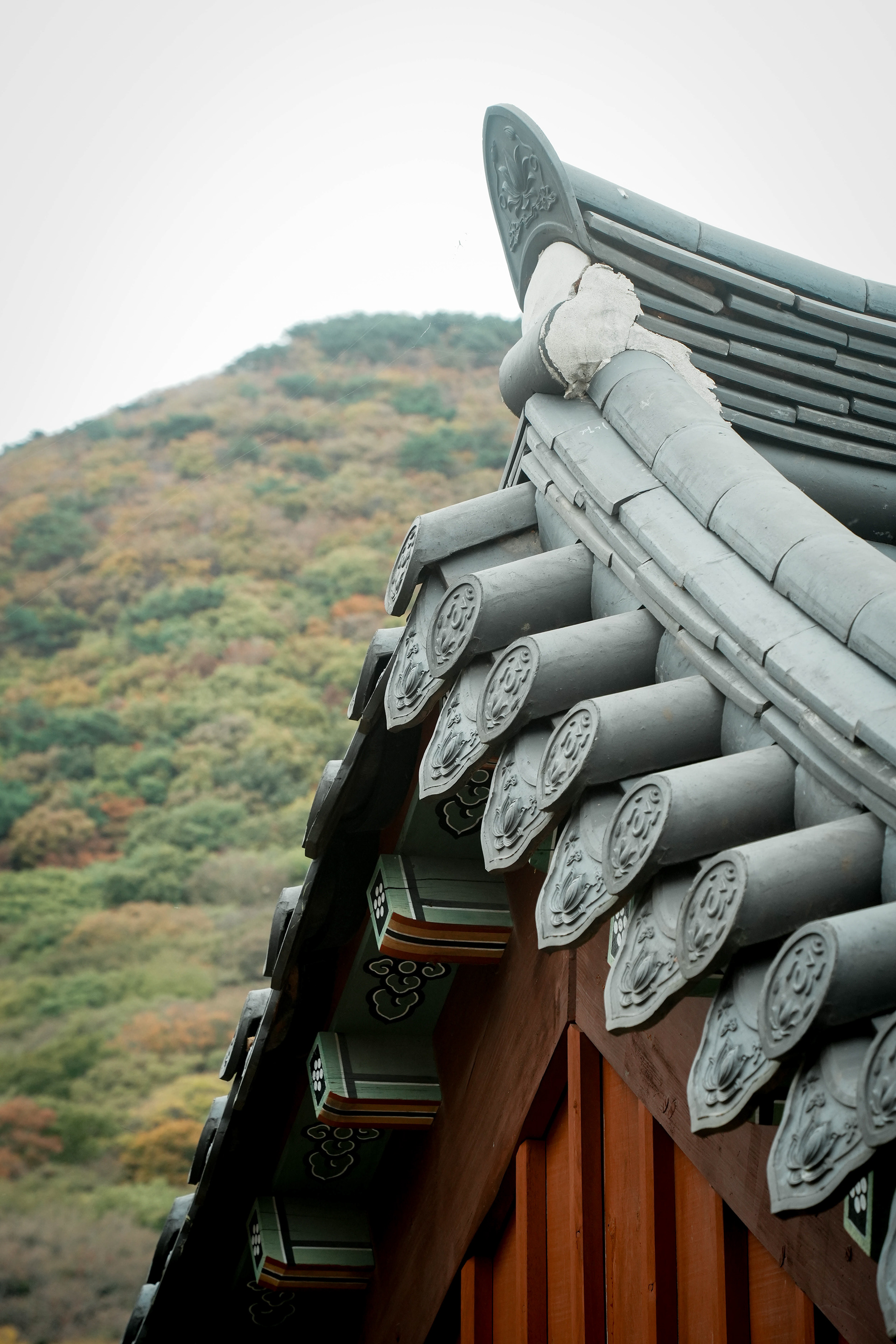 空間紀錄-梵魚寺 범어사-3