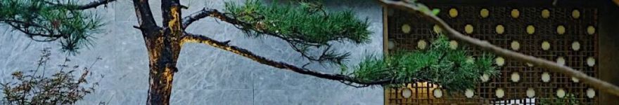 石头记:落雨声皆看化 | 龙湖葛洲坝 · 景粼天著-76