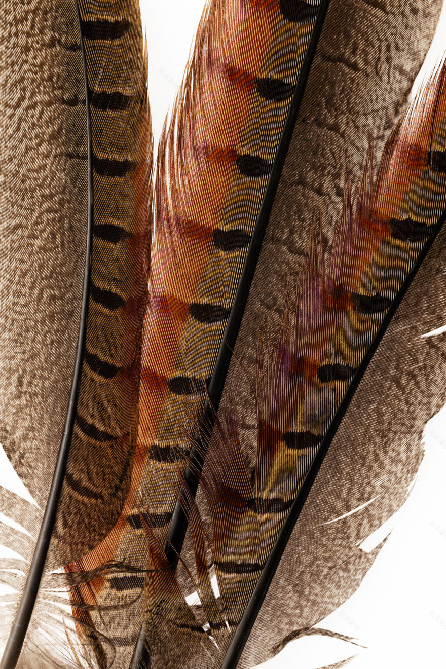 TorriPhoto摄影创作项目-51