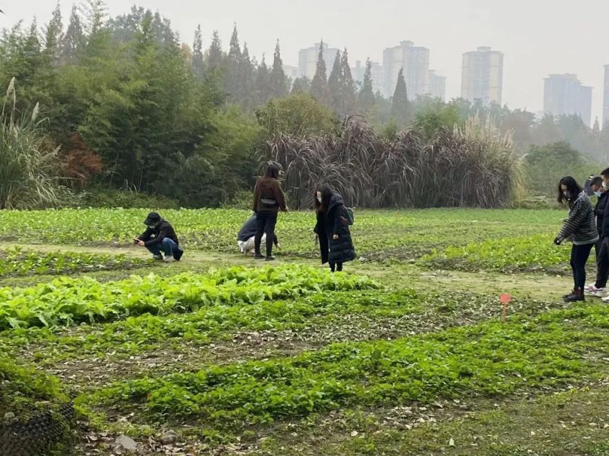 DDM 梦景未来 · 2021 年度获奖项目集锦-261