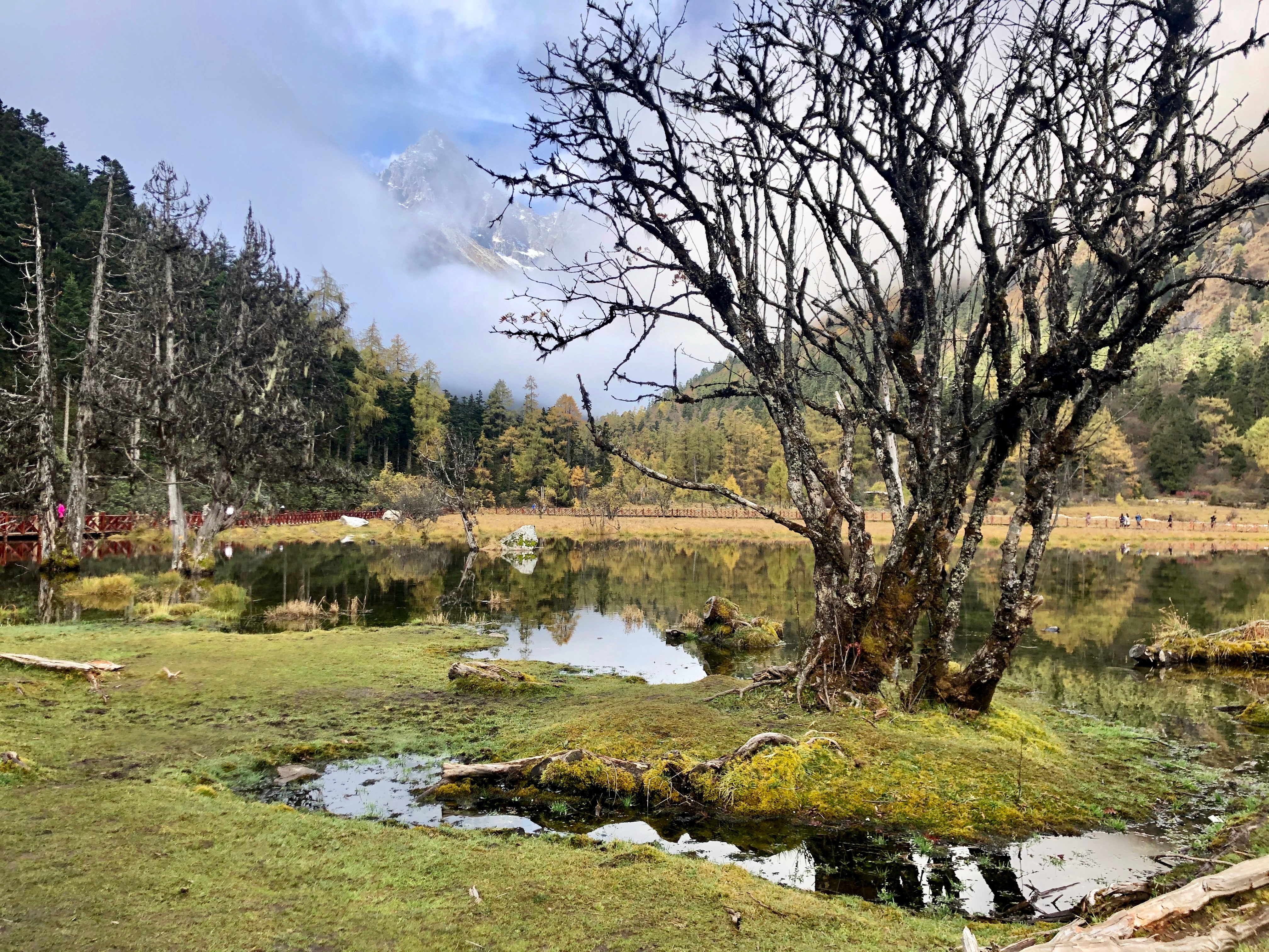 川西大环线相关设计项目（推测）丨也门亚丁-53