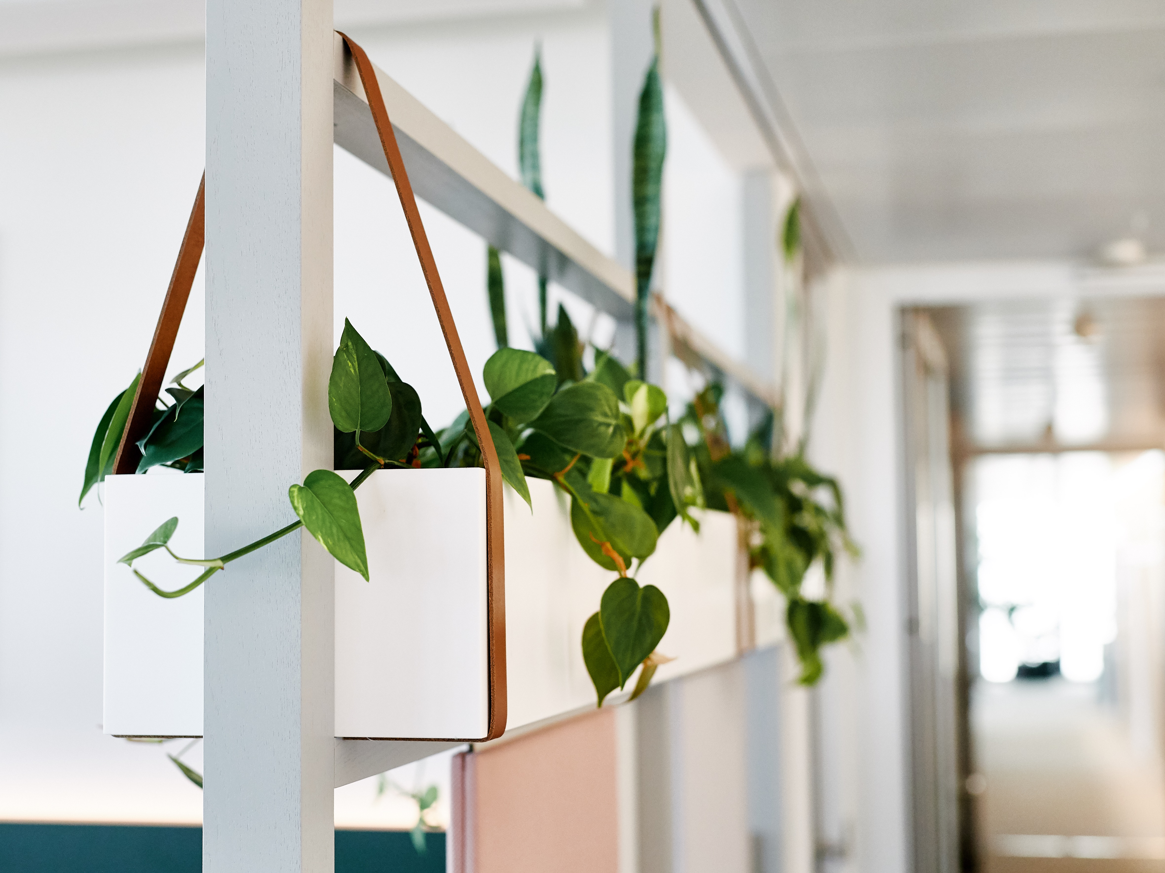 灵活办公空间 | Süddeutsche Verlag 的个性化设计-17