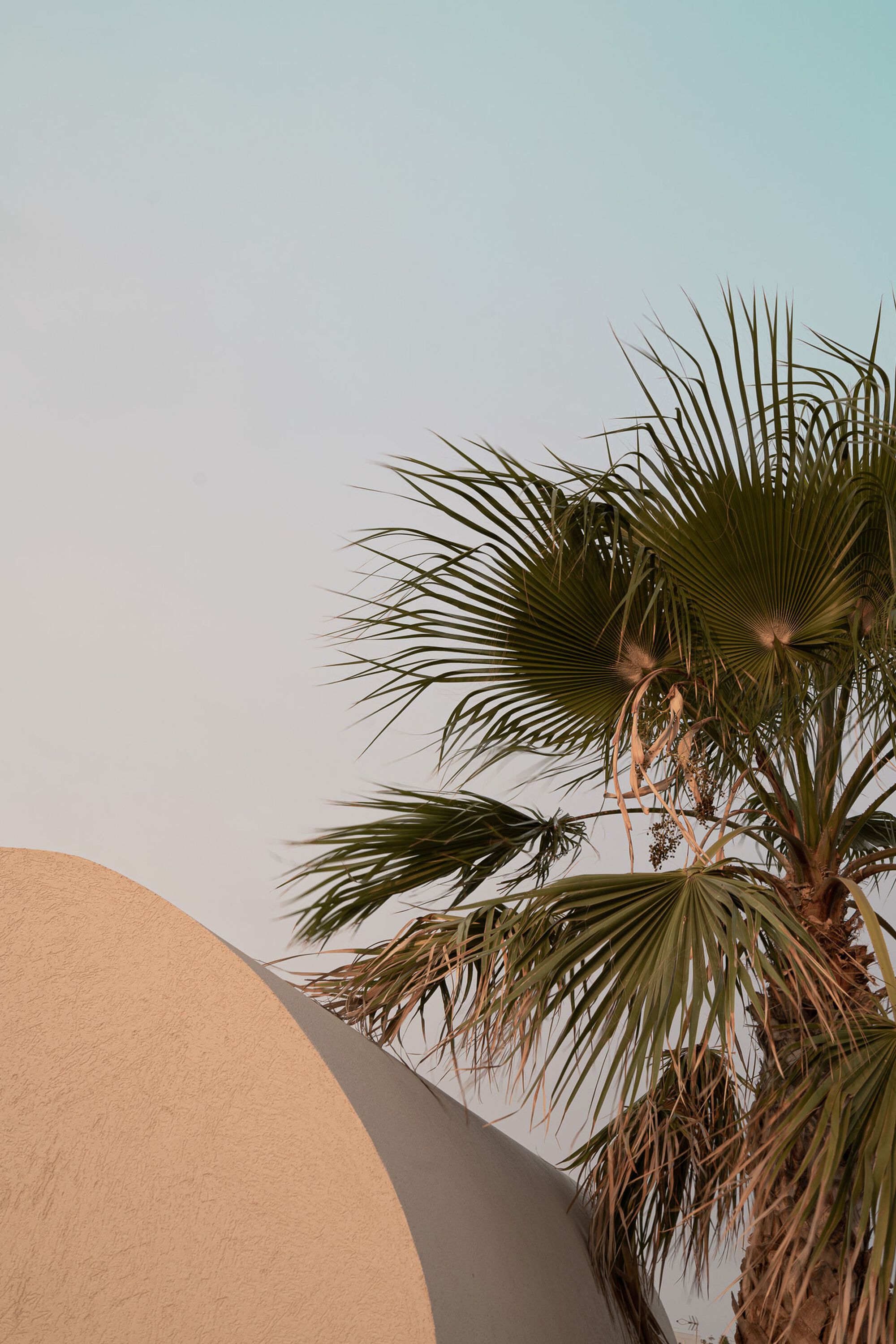 纳米米屋丨西班牙丨company studio-31