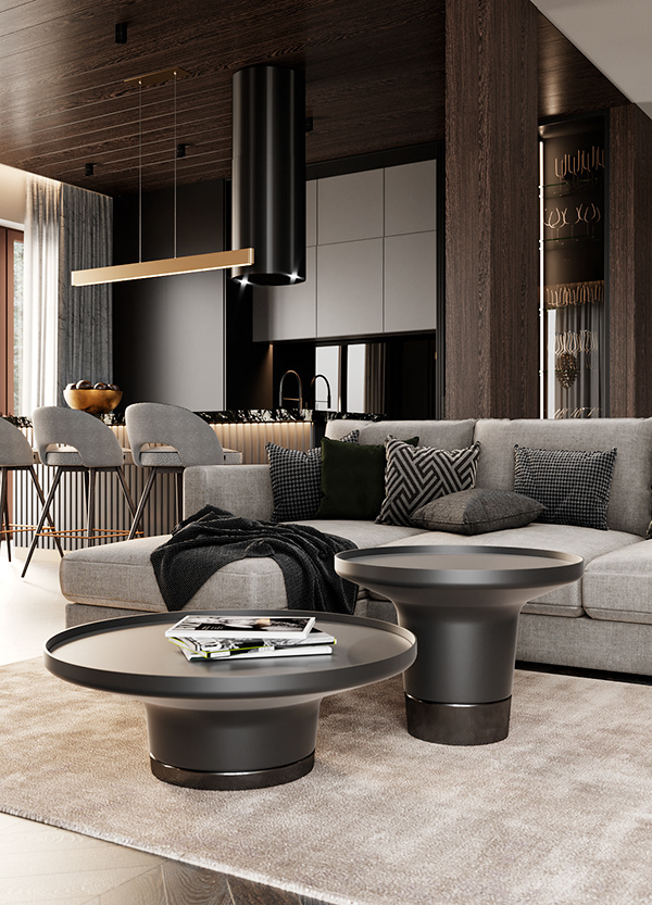 living room in house-6