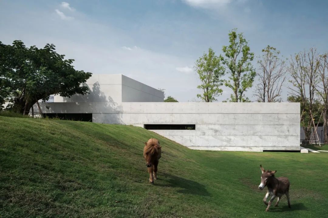 圣提布里公寓丨泰国曼谷丨A49-61