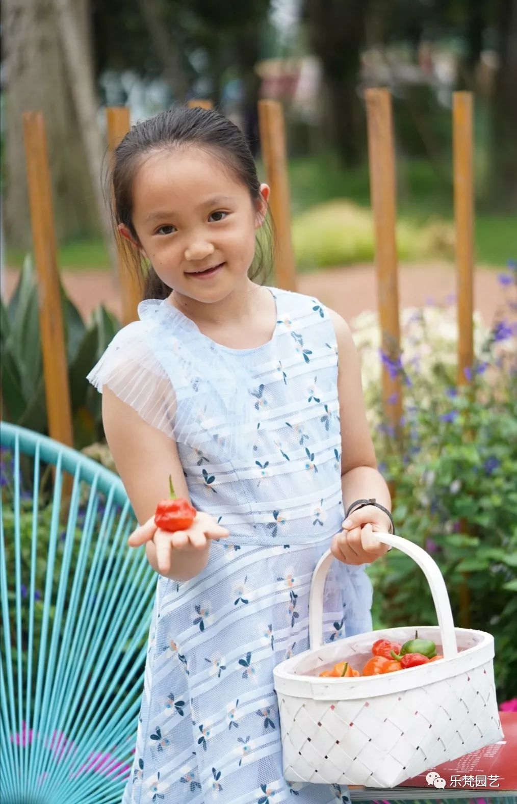 乐梵园艺打造成都花木博览会快闪花园,惊艳全场-62