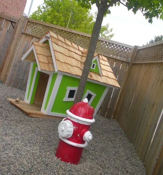 庭院宠物之家 | 打造宠物宜居的户外空间-22