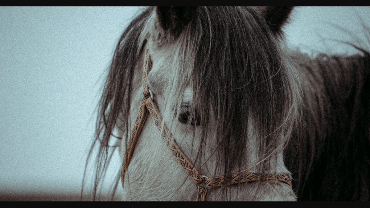 秘境·像素甘南丨中国甘肃丨Blackstation-24