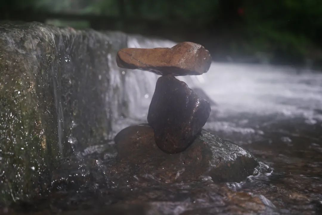 Yang Zhao  VISUAL ARTS-19