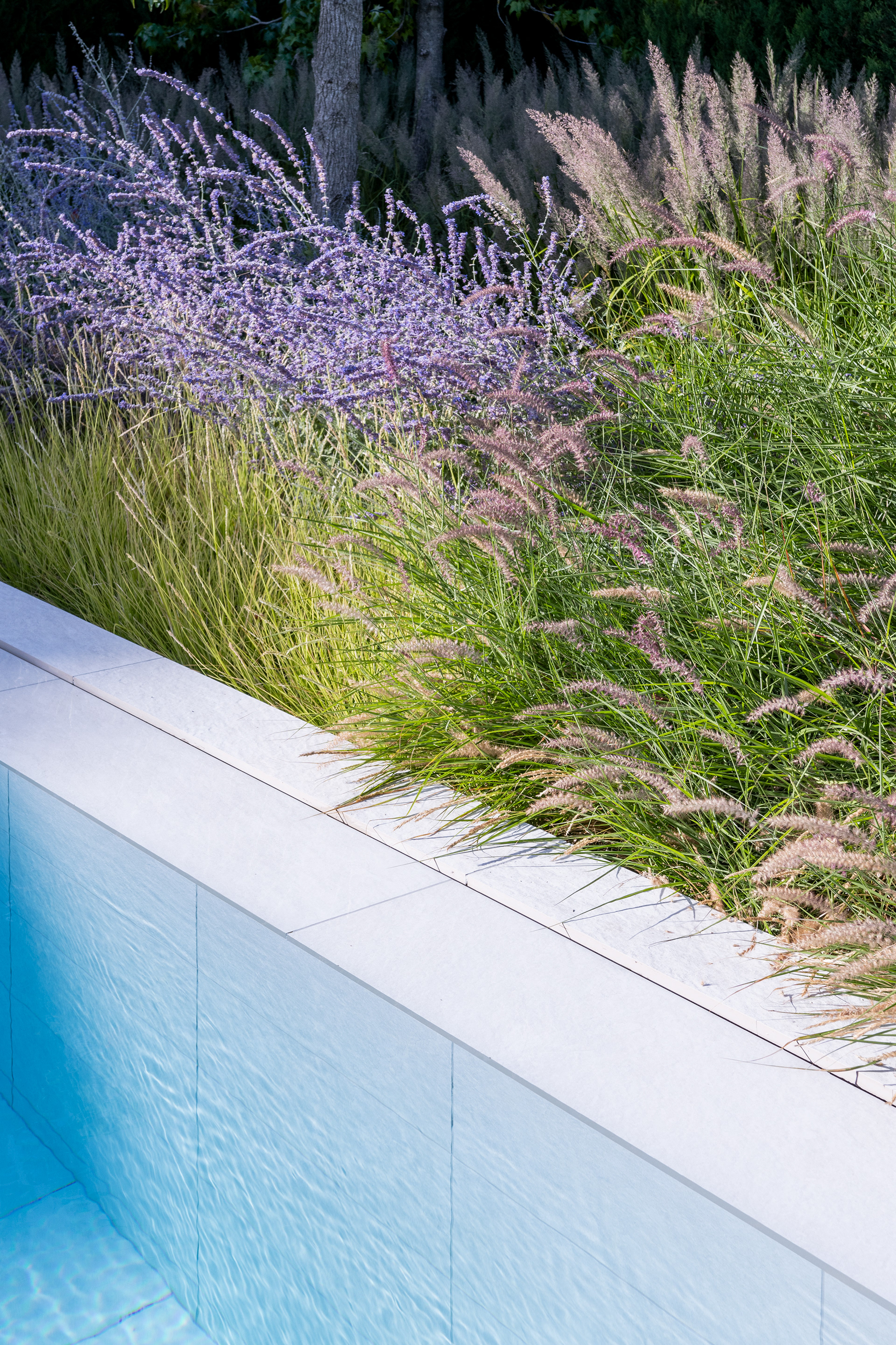 SERENITY GARDEN 景观设计-12