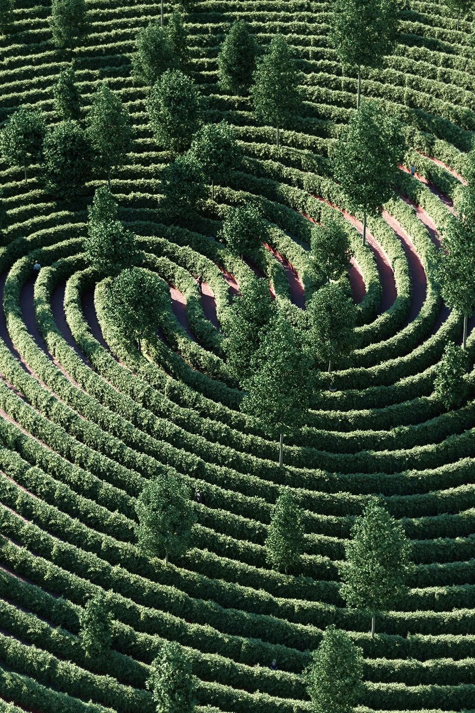 疫情下的公园设计 - 距离公园，维也纳 / Studio Precht-35