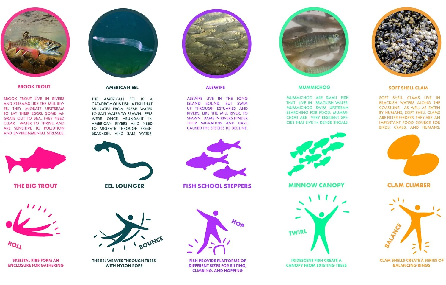 米尔河公园地形工程丨美国康涅狄格-4