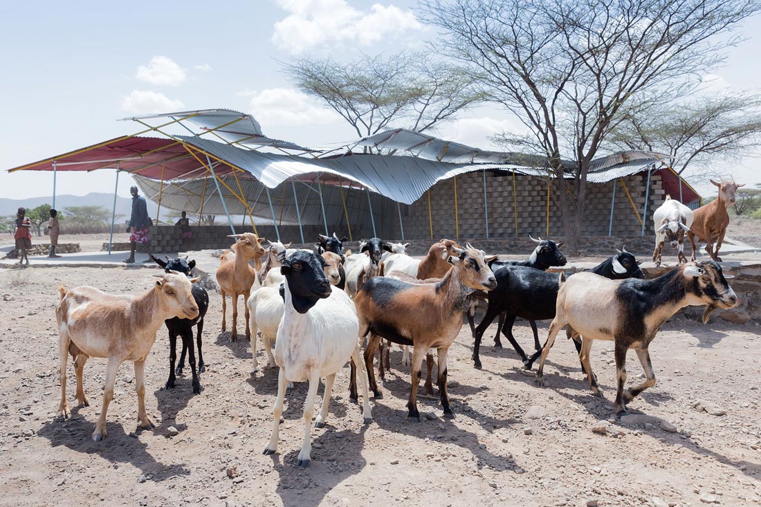 丨肯尼亚图尔卡纳-36