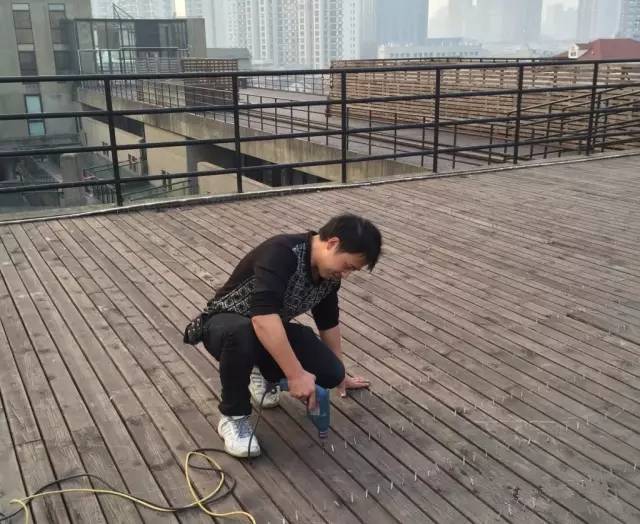 火遍魔都超700㎡网红花园，看过的人都被圈粉-60