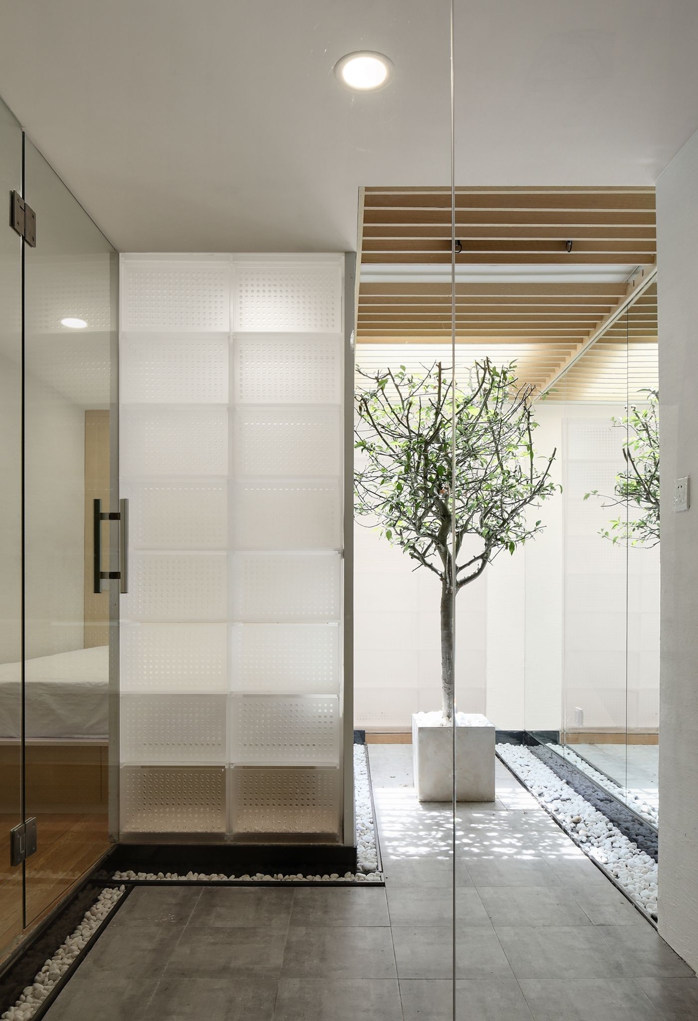 猫宅(Cat House)-46