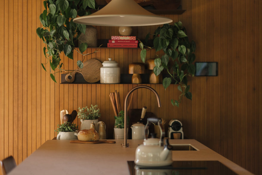 丨巴西丨NV Arquitetura-34