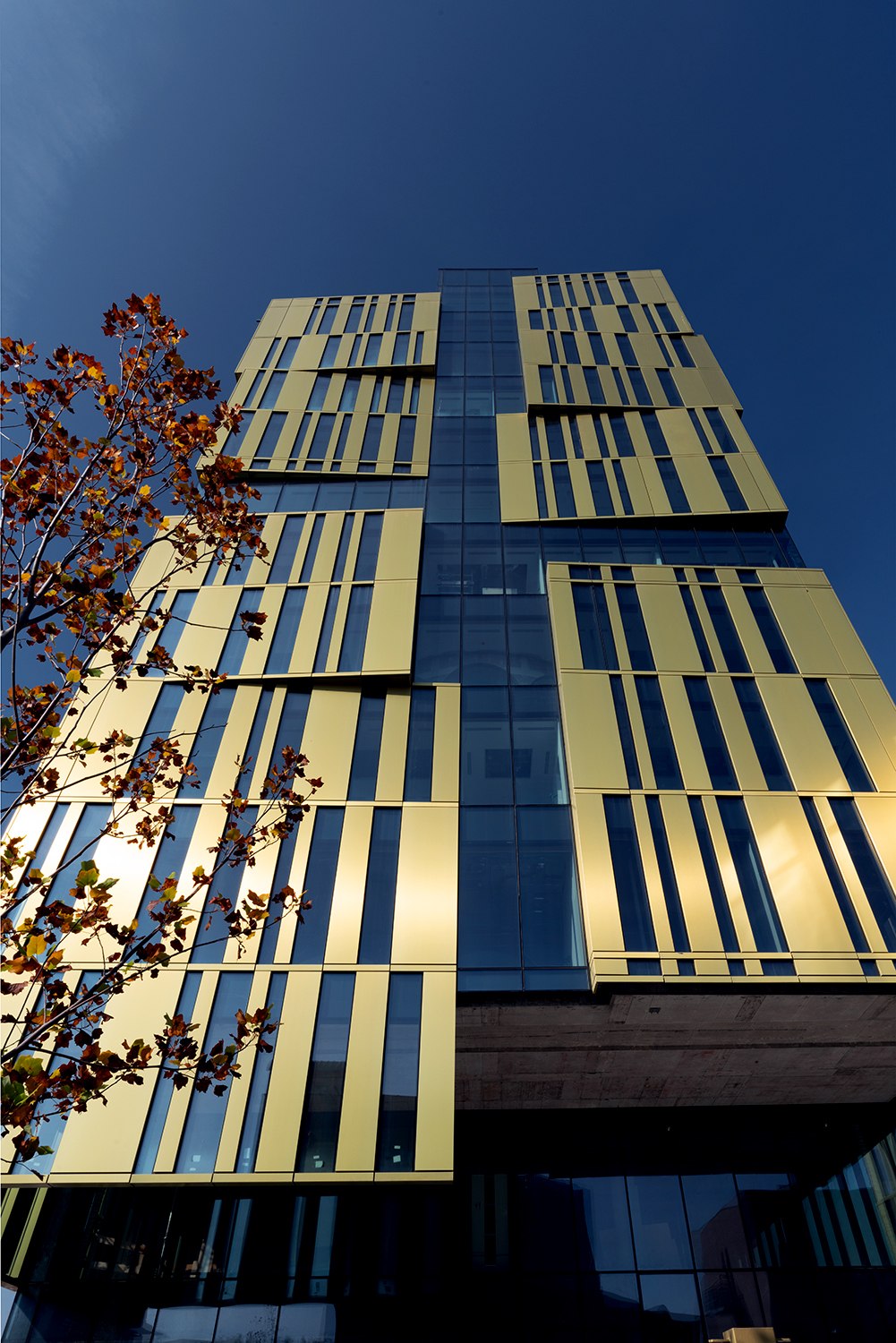 The Sign 办公楼-11