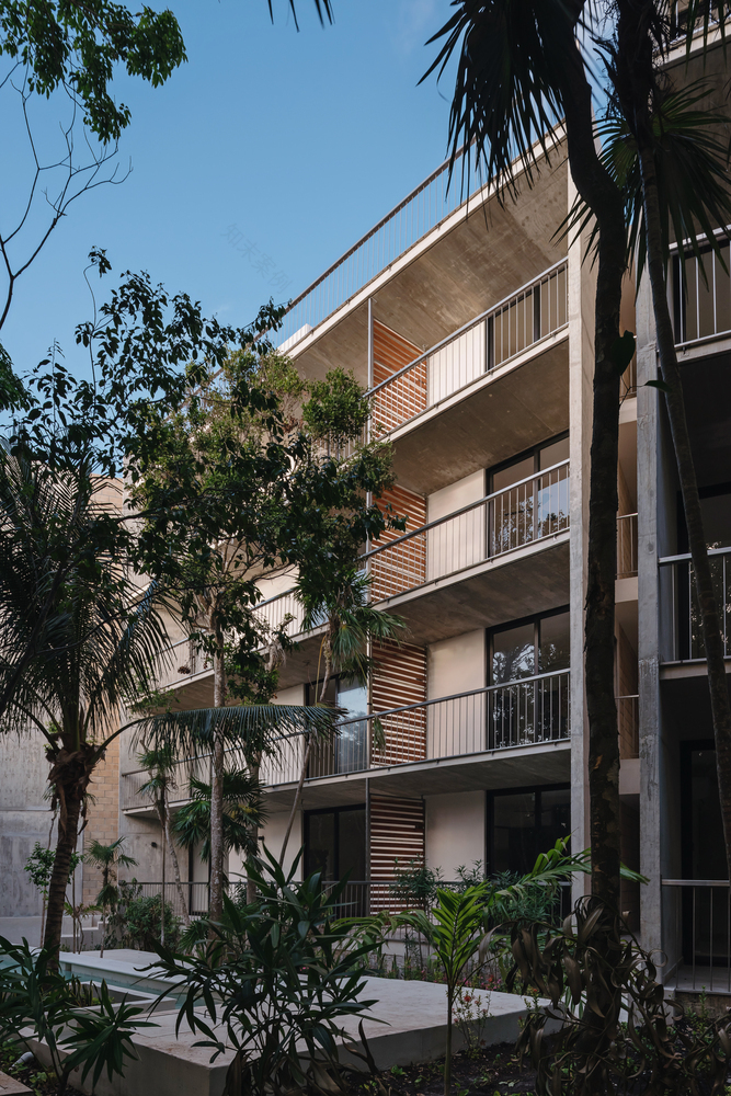 墨西哥 Kokonut 建筑丨Riparia-25