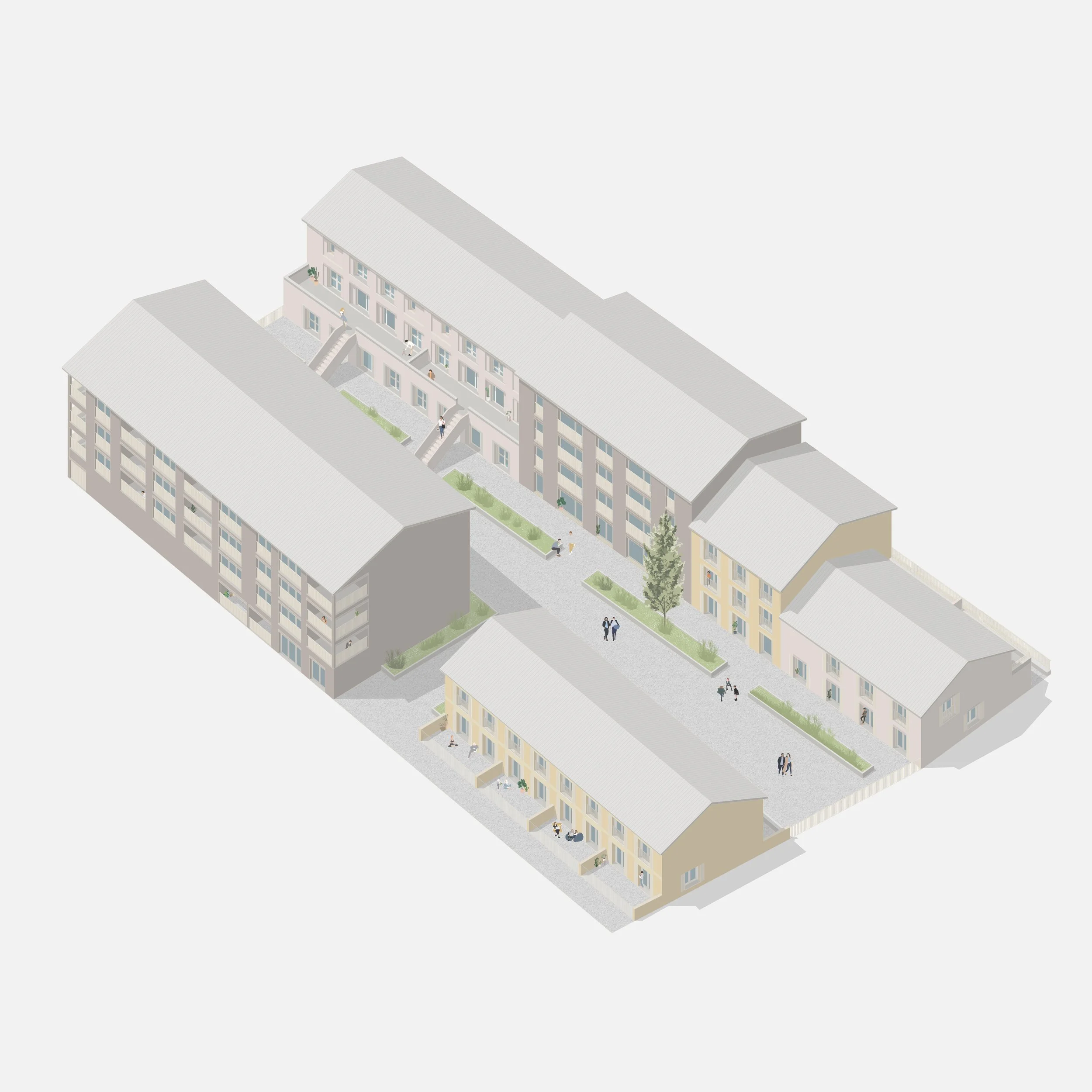 蒙让，龙吉斯·帕拉斯塔-27