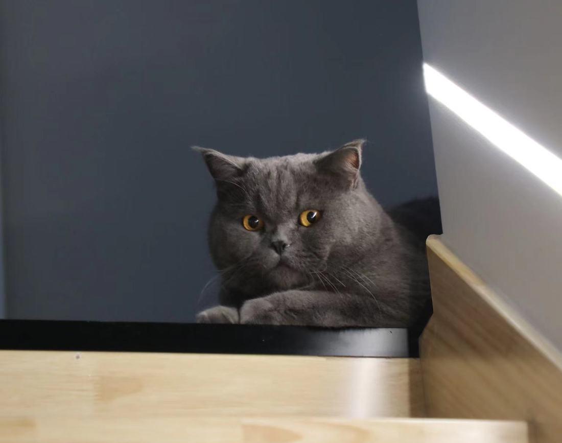 浪漫小夫妻的温馨婚房 | 简约原木与奶白系的完美融合-78