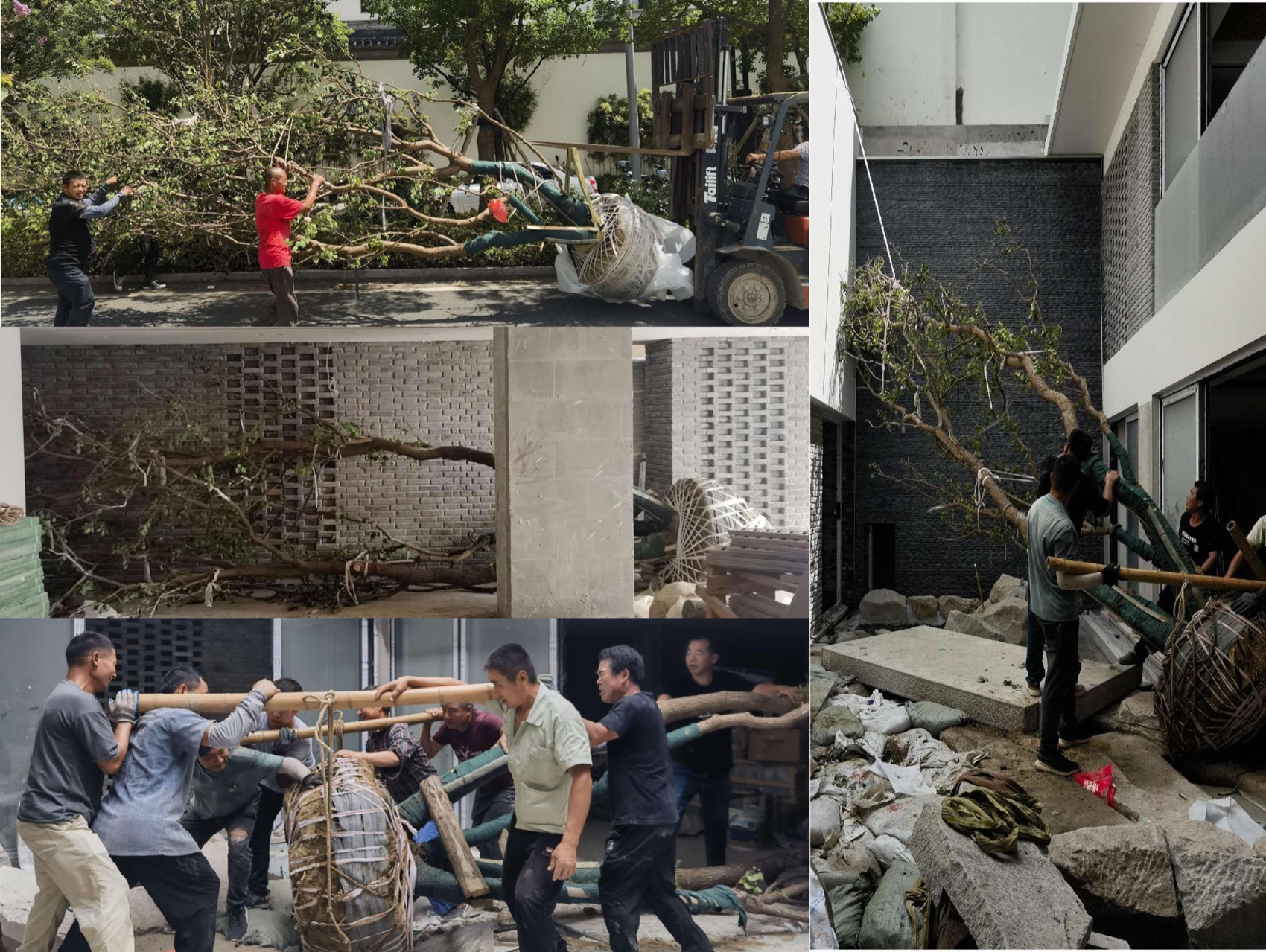 上海桃花源私庭营造丨中国上海丨墨刻丨無言斋造园-124