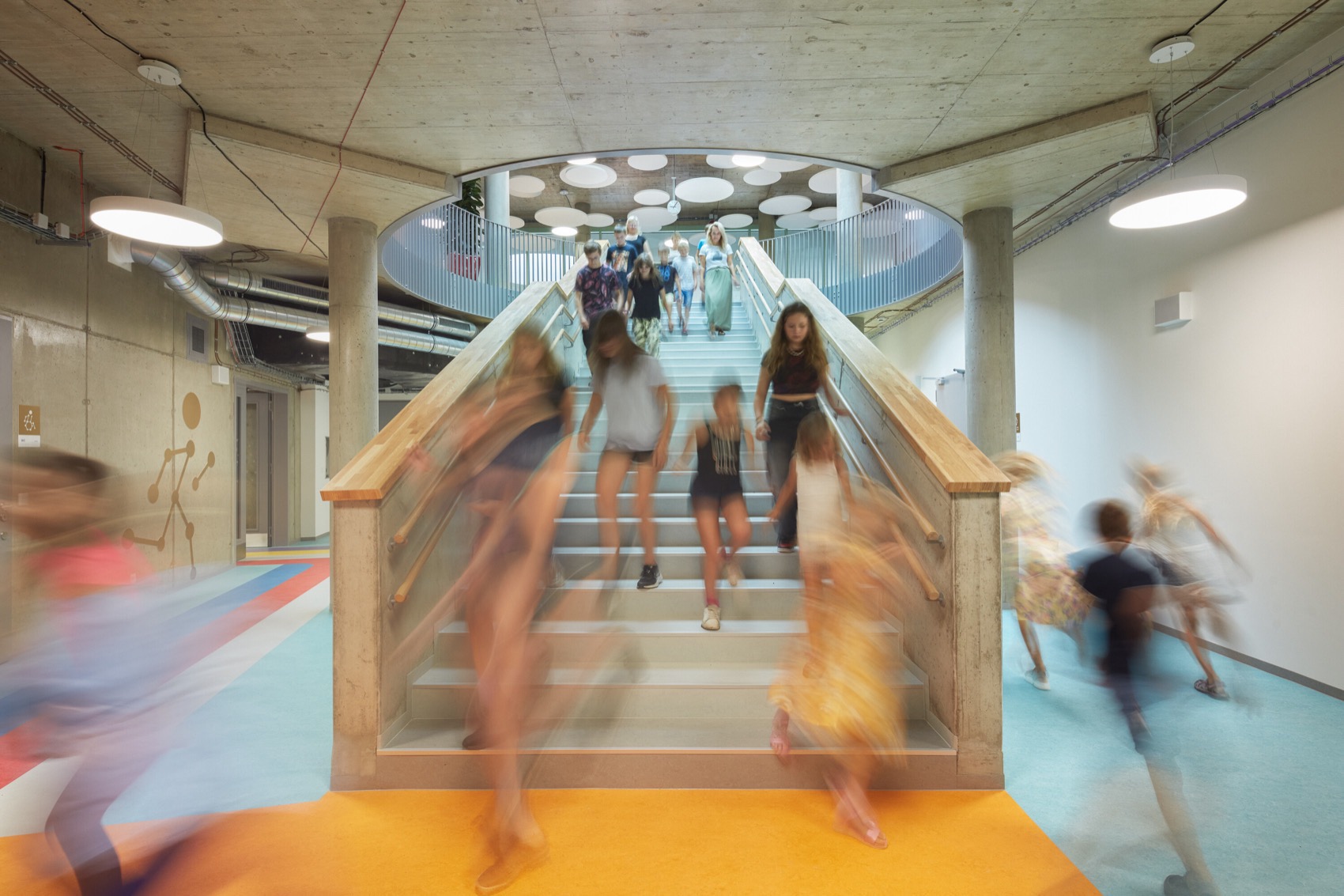 Frič Brothers小学丨捷克丨ATELIER 6-36