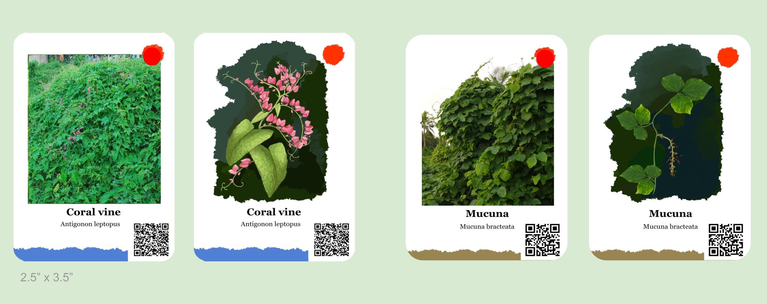 生物多样性保护-32