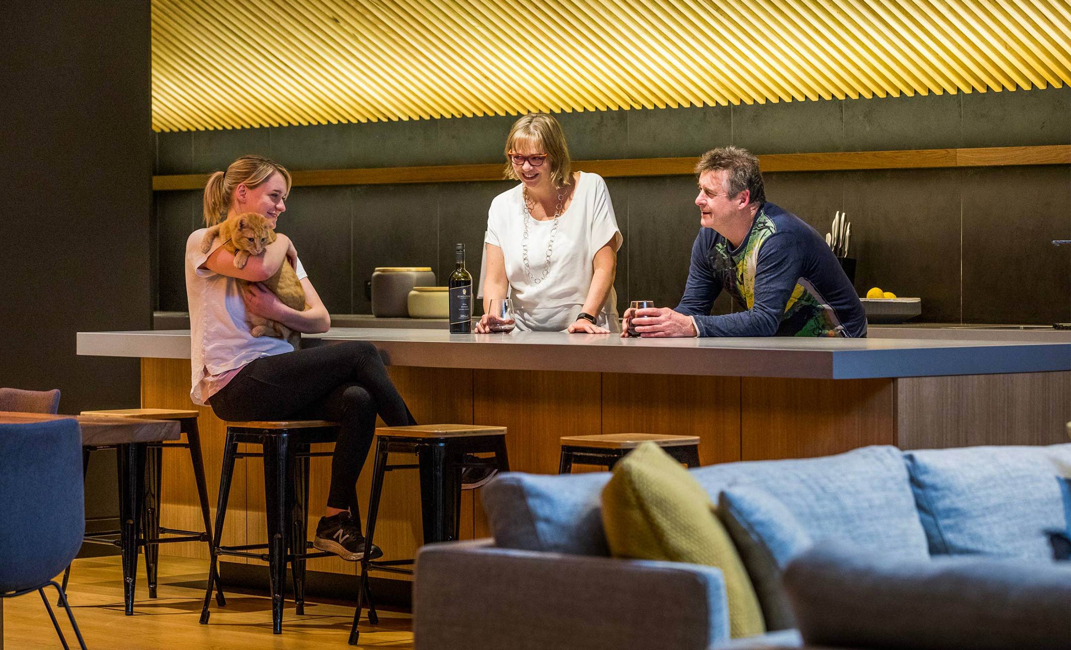 Luna Place - Contemporary Mid-Century New Build-2