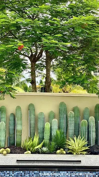 悠闲度假花园 ▎三亚蓝湾小镇-28